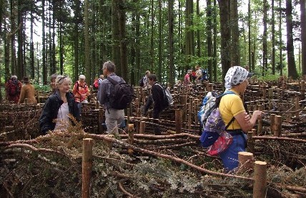 Wald-Labyrinth Luzern